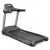 Беговая дорожка BRONZE GYM T900 PRO TFT